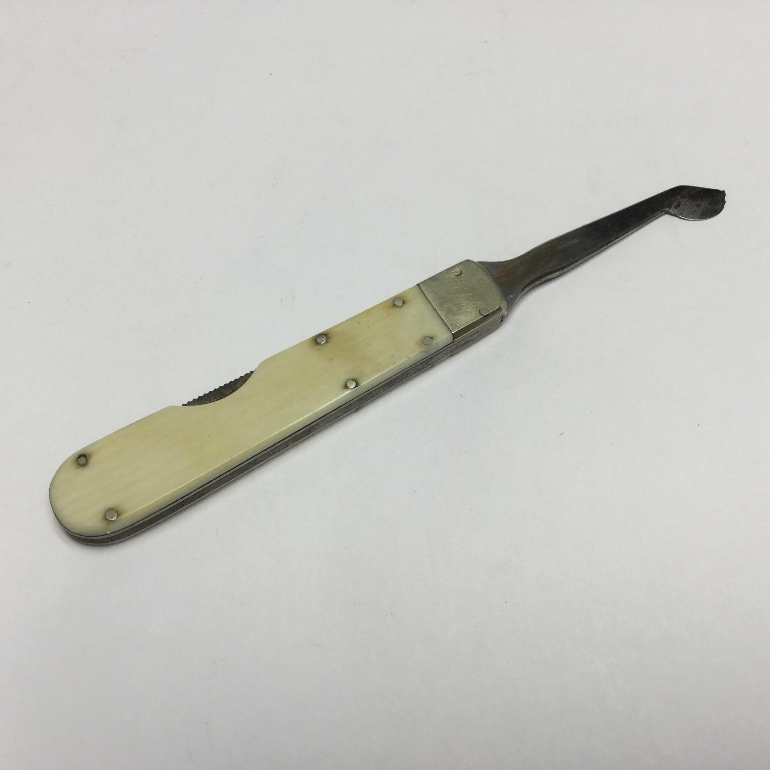 Folding gum lancet Fleaglass