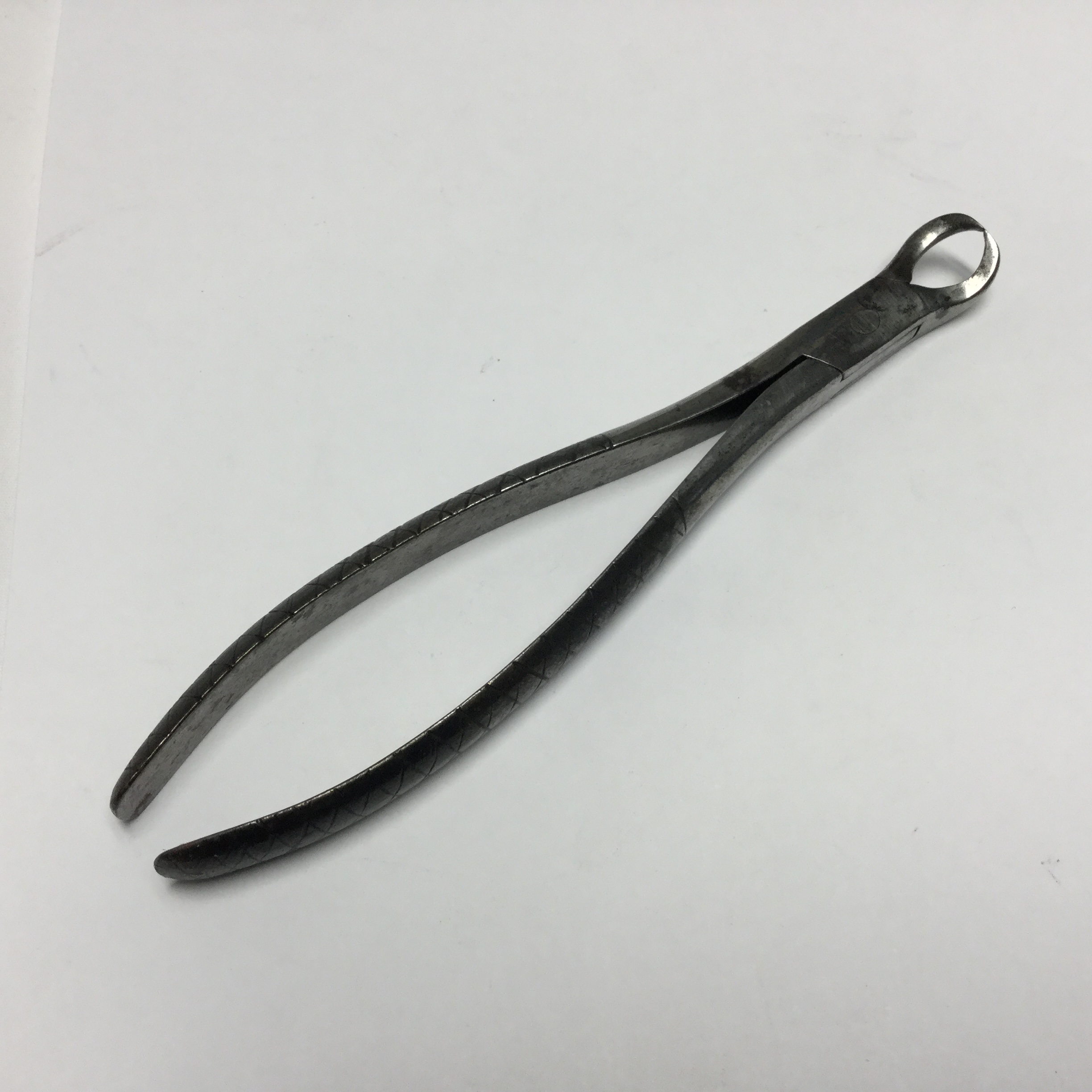 Steel Dental Forceps Fleaglass
