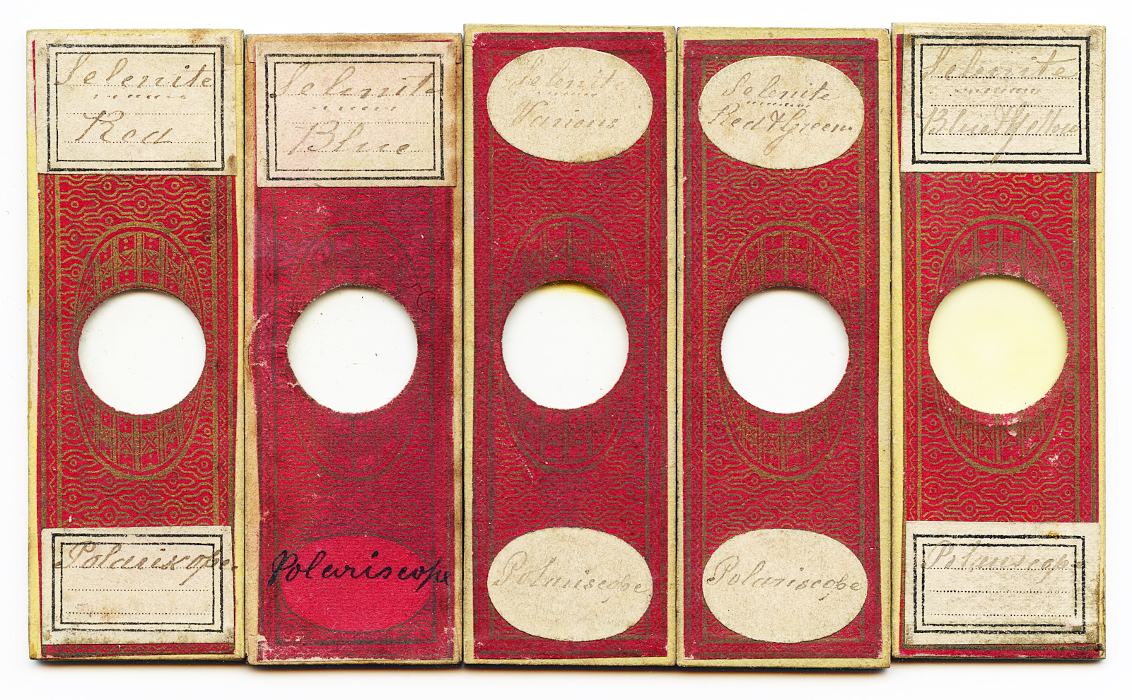 Antique microscope slides Fleaglass