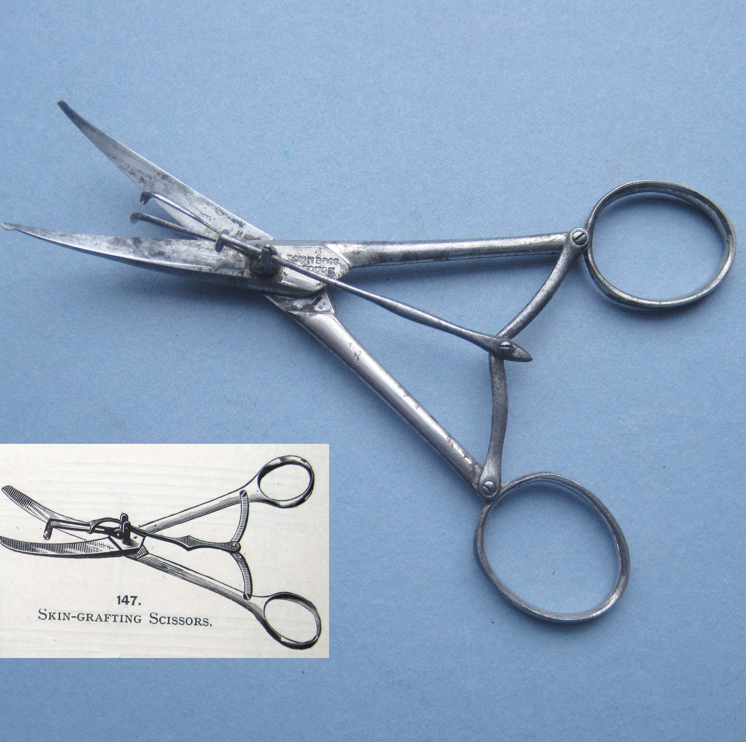 SkinGrafting Scissors, Down Bros, C18751900 Fleaglass