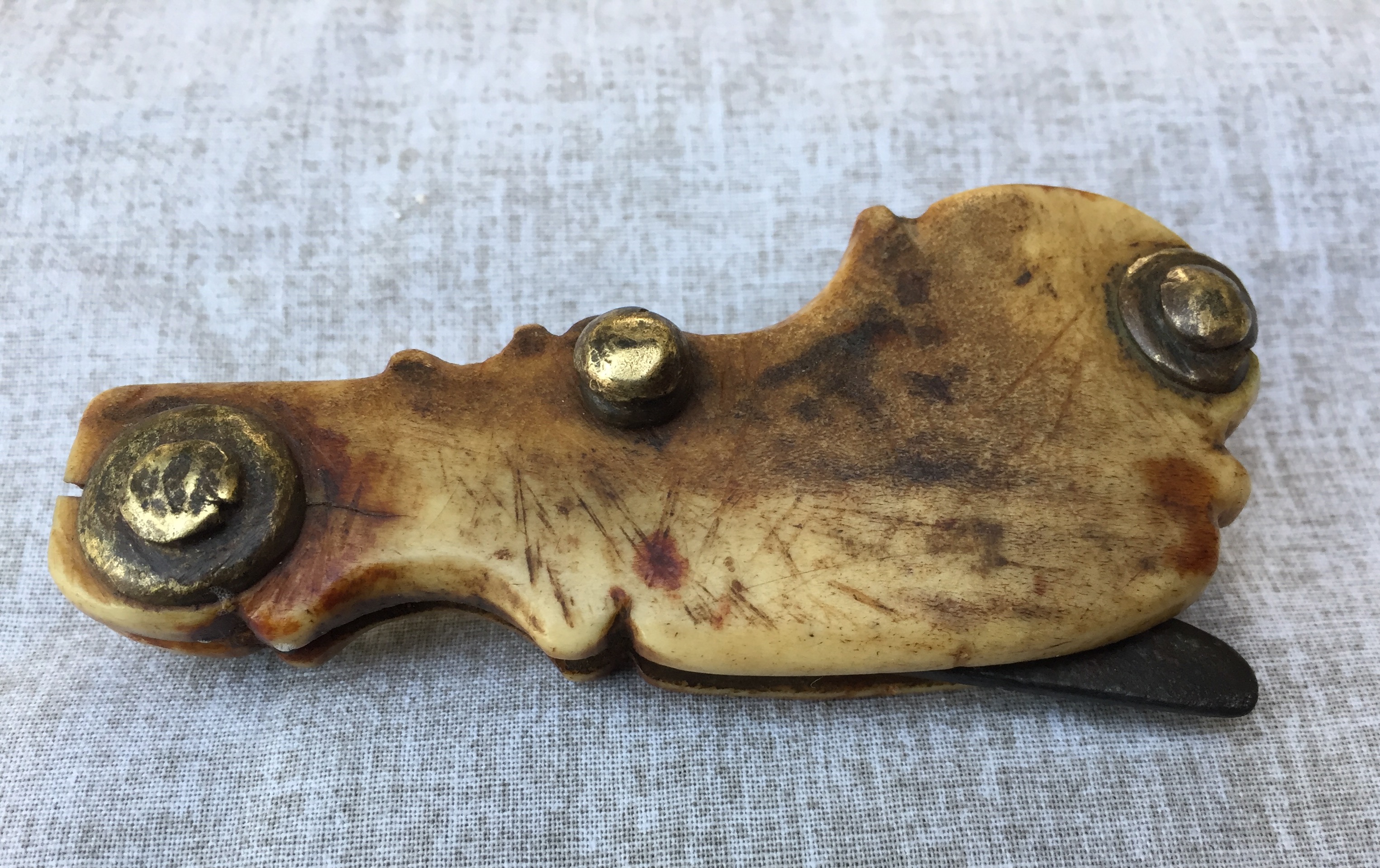 bloodletting lancet surgical instrument Fleaglass