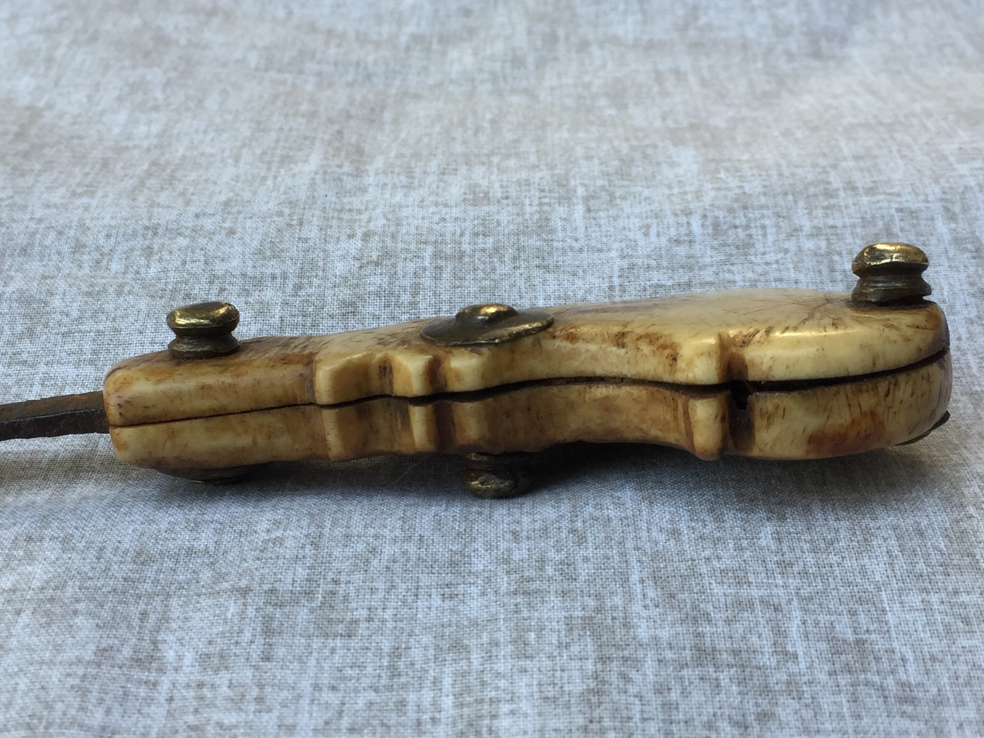 bloodletting lancet surgical instrument Fleaglass