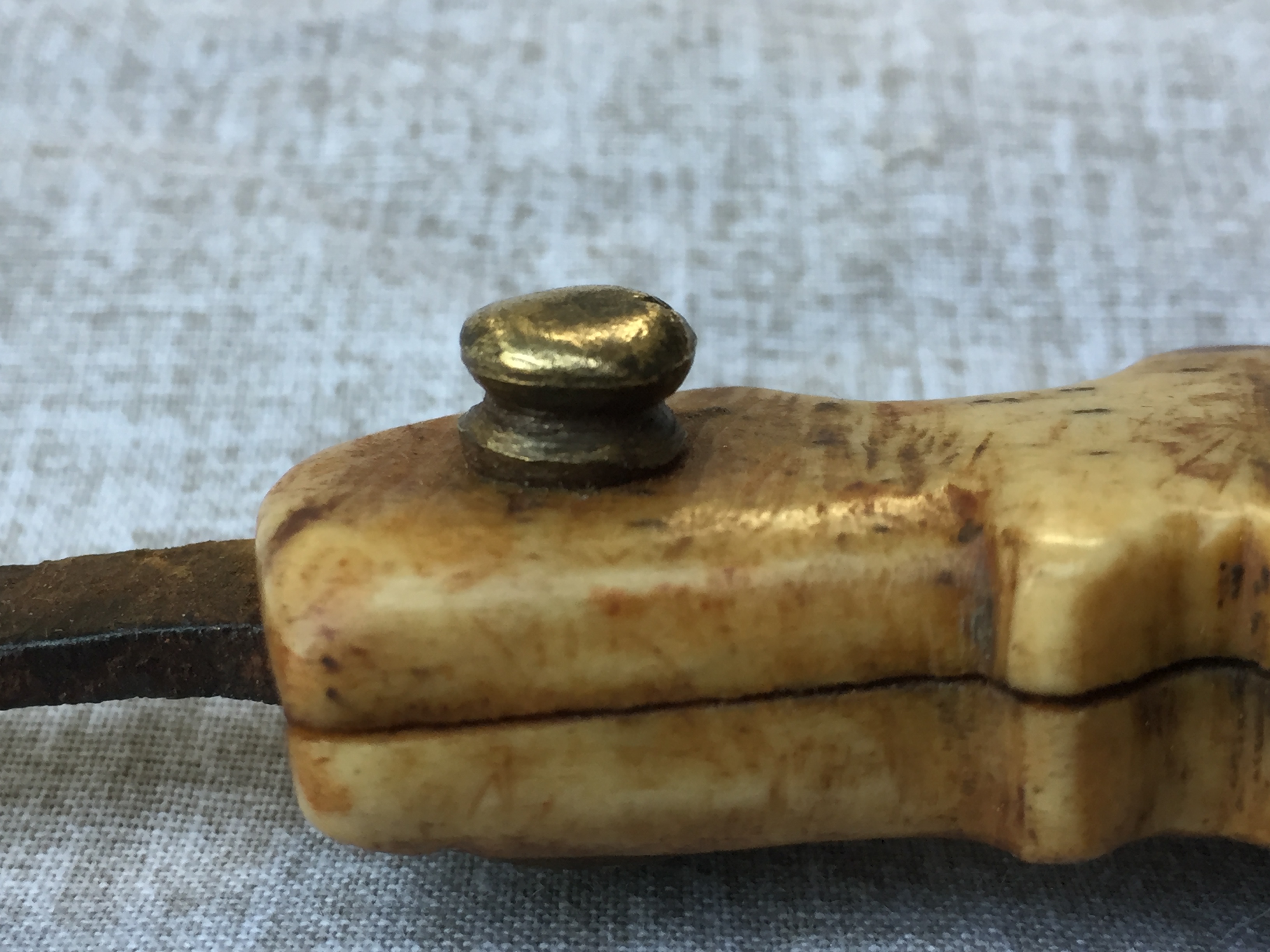 bloodletting lancet surgical instrument Fleaglass