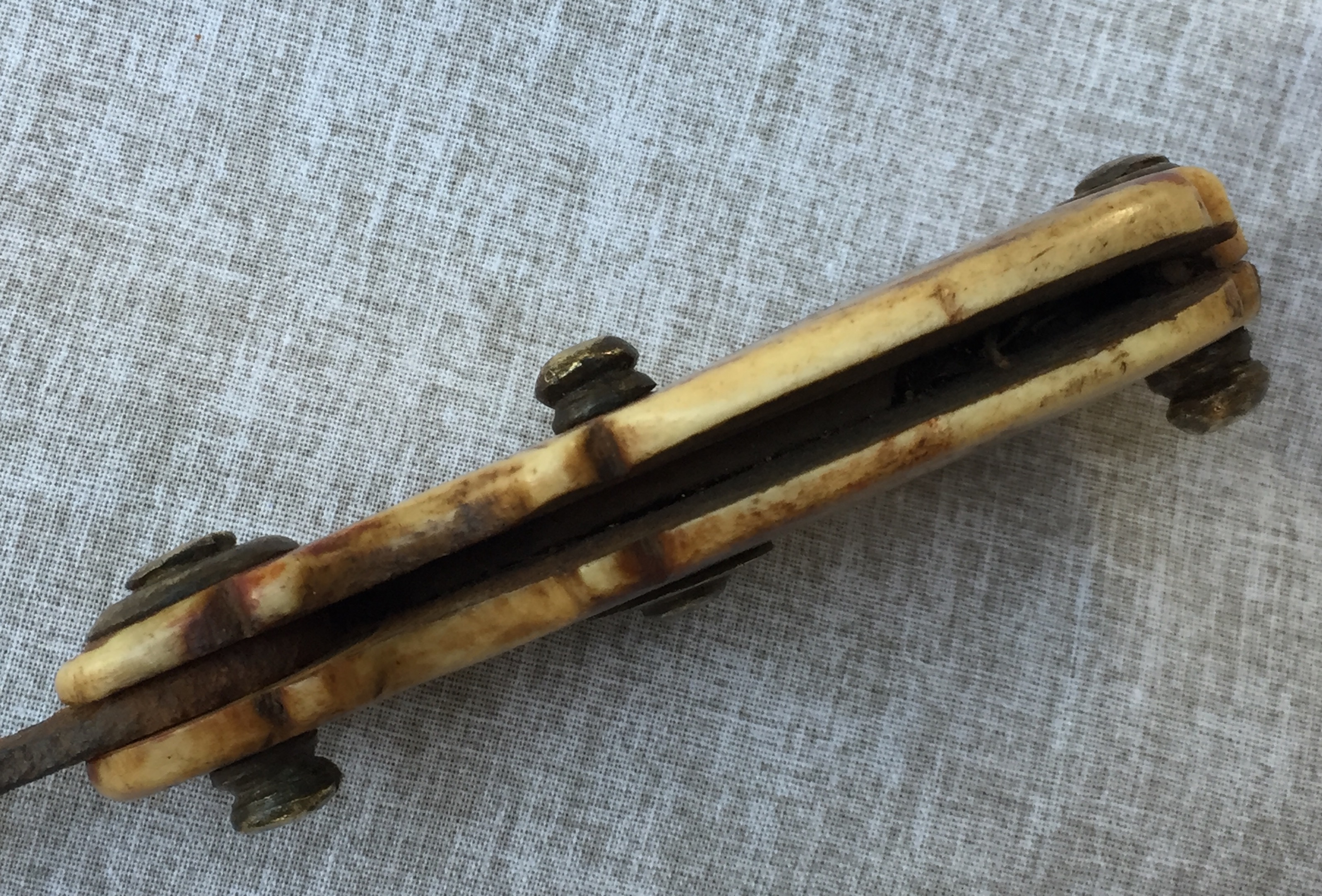 bloodletting lancet surgical instrument Fleaglass