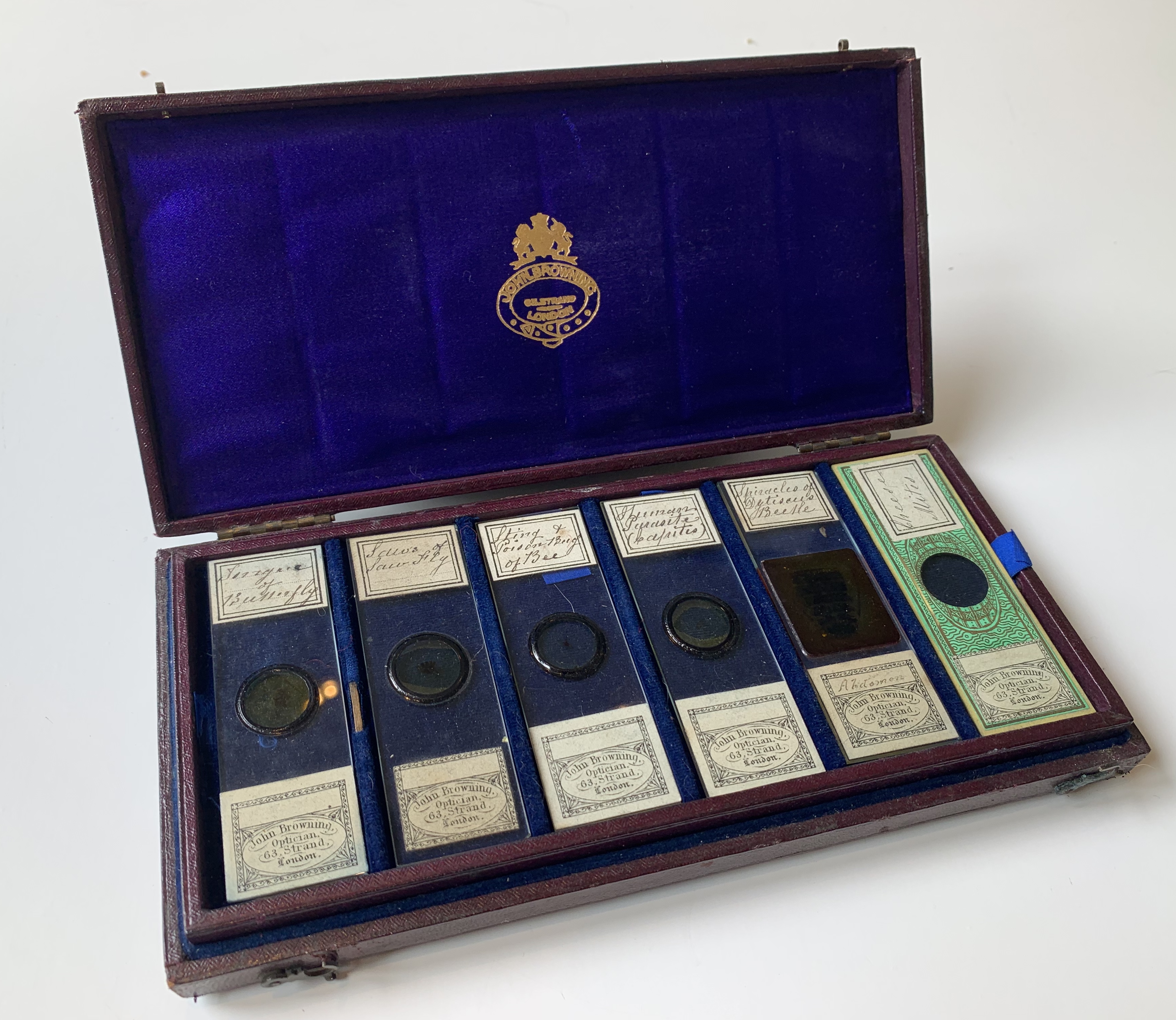 Antique microscope slides Fleaglass