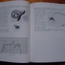 HISTORIC DEVICES FOR HEARING - The CID-Goldstein Collection