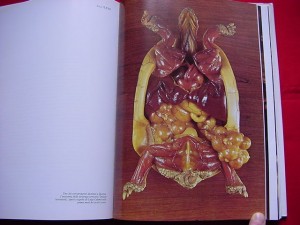 LE CERE ANATOMICHE DELLA SPECOLA DI FIRENZE