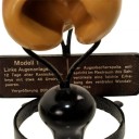 ZIEGLER WAX MODELS, SERIE 8B C 1930