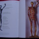 LE CERE ANATOMICHE DELLA SPECOLA DI FIRENZE