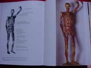 LE CERE ANATOMICHE DELLA SPECOLA DI FIRENZE
