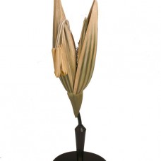OAT MODEL