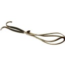 Pajot Obstetric forceps by Mathieu Van Leest Antiques