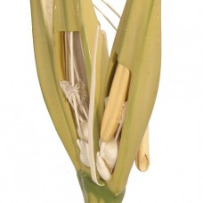 GRAIN MODEL