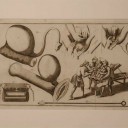 L. Heister print  - van Leest Antiques 310727-25