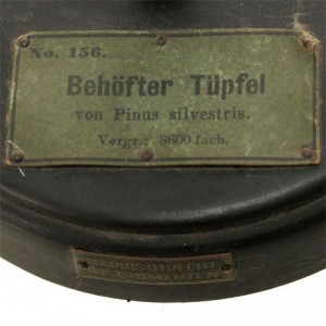 Brendel Behofter Tupfel model - van Leest Antiques (3)