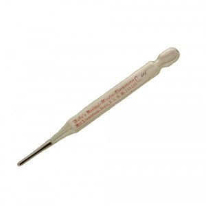 medical thermometer in case - van Leest Antiques (2)
