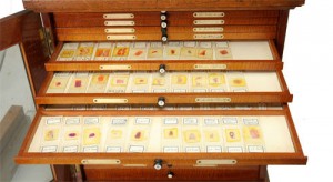 Slide cabinet - van Leest Antiques (3)