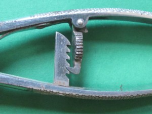 forceps4
