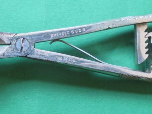 forceps2