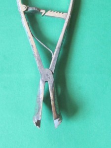 forceps6