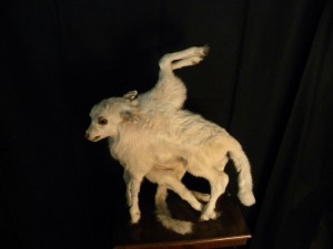FREAKLAMB 05