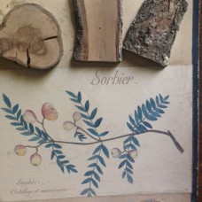 4 French teaching panels on industrial woods