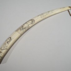 Walrus tooth engraved with multiple decors – XIXth century
