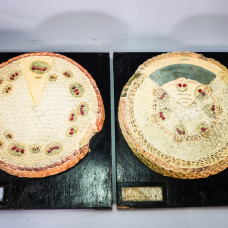 2 antique Italian botanical models by Antonio Vallardi