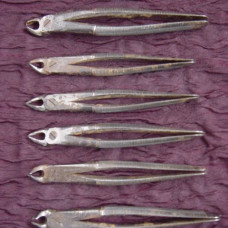 A 1800’S Set Of 6 Dental Forceps By Evans & Co., London