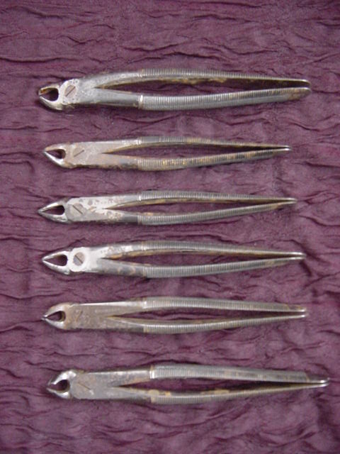 A 1800’S Set Of 6 Dental Forceps By Evans & Co., London
