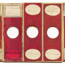 Antique Microscope Slides. Five Selenites by Amos Topping c1870s.