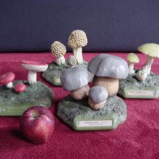 Italian collection of 4 mushroom models, plaster and handpainted