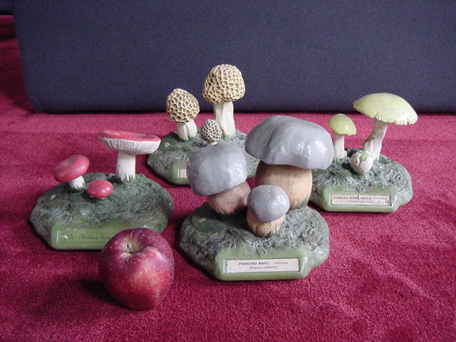 Italian collection of 4 mushroom models, plaster and handpainted