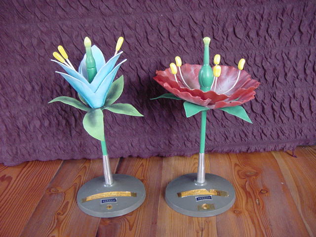 2 Italian teaching models of flowers