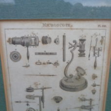 Microscope print from 1811
