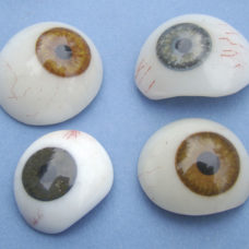 TWO DOZEN GLASS EYES