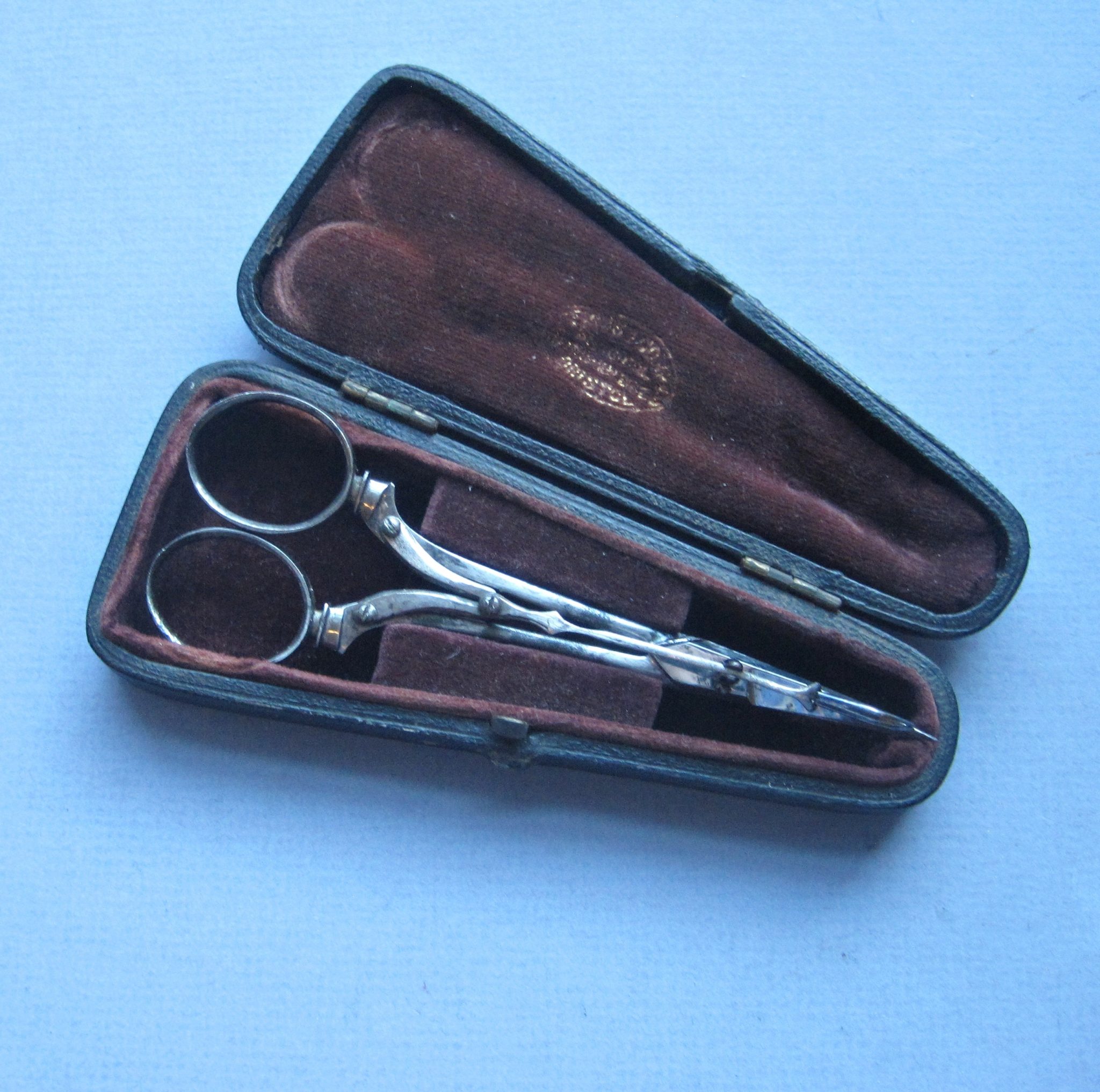 A Skin-Grafting and Iredectomy Scissors by Ferris