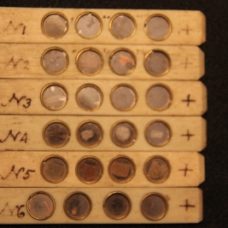 ~FULL SET OF MATCHING 18th CENTURY BONE SLIDERS~