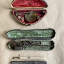 Three Scales in Original Fishskin cases