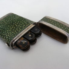 ANTIQUE SHAGREEN ETUI WITH SIX LANCETS