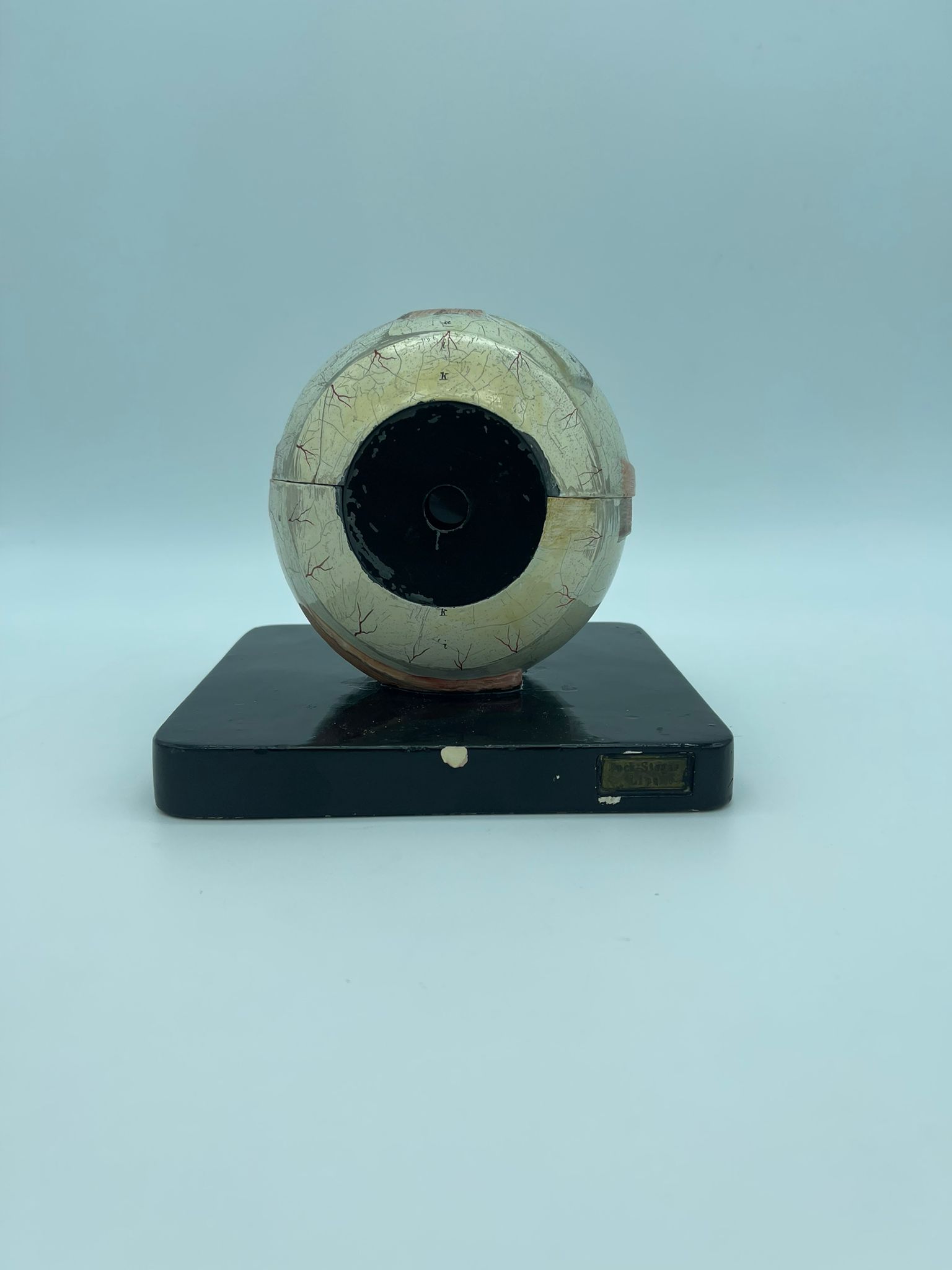 Bock Steger anatomical model of the humain eye, circa 1890