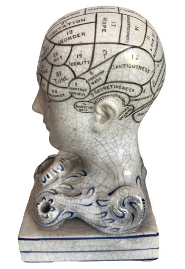 Interesting Bridges Phrenology Head Inkwell