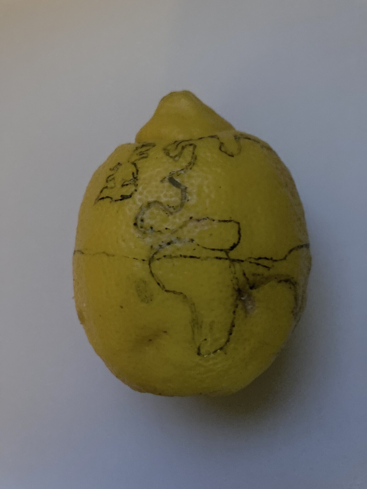 Pocket Globe by Le Monde de Citron
