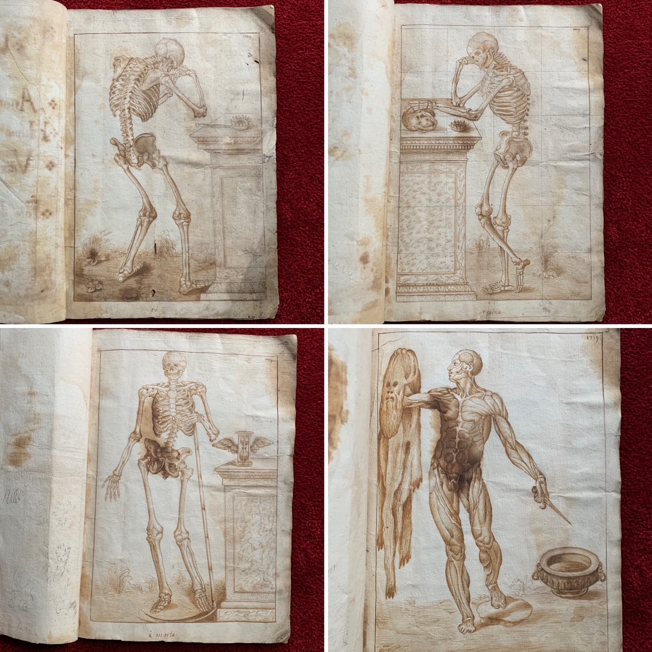 Italian album of 9 antique anatomical drawings, signed and dated 1719