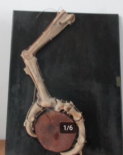 Anatomical model of the claw of a bird Marius Utrecht founded 1881.