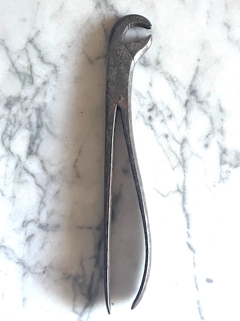 Dental Forceps 18 TH Century in wrought iron