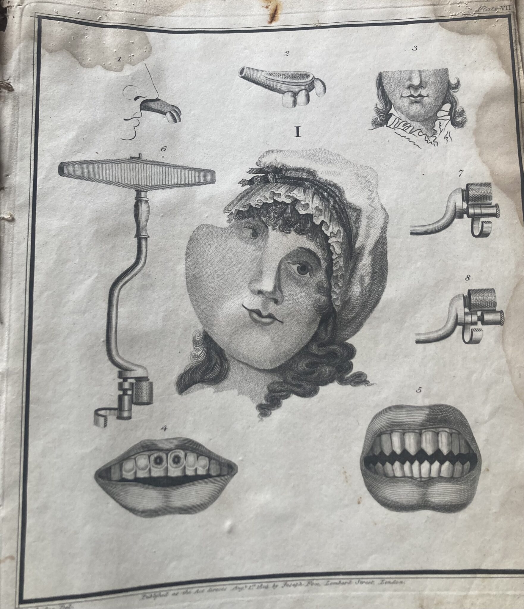 The Natural History and Diseases of the Human Teeth in Two Parts with twenty three Copper Plates