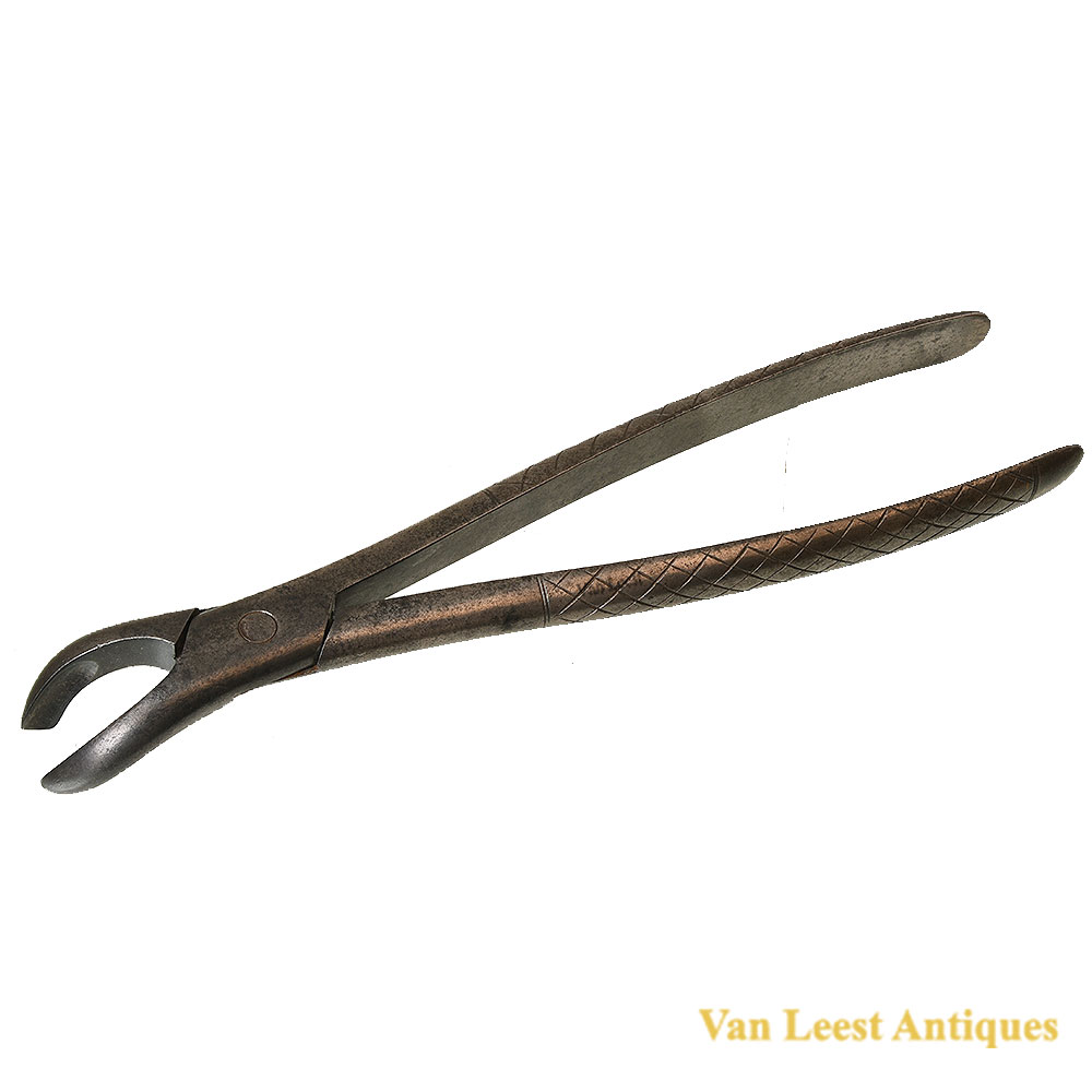 19th century veterinary dental forceps Hugard Alfort