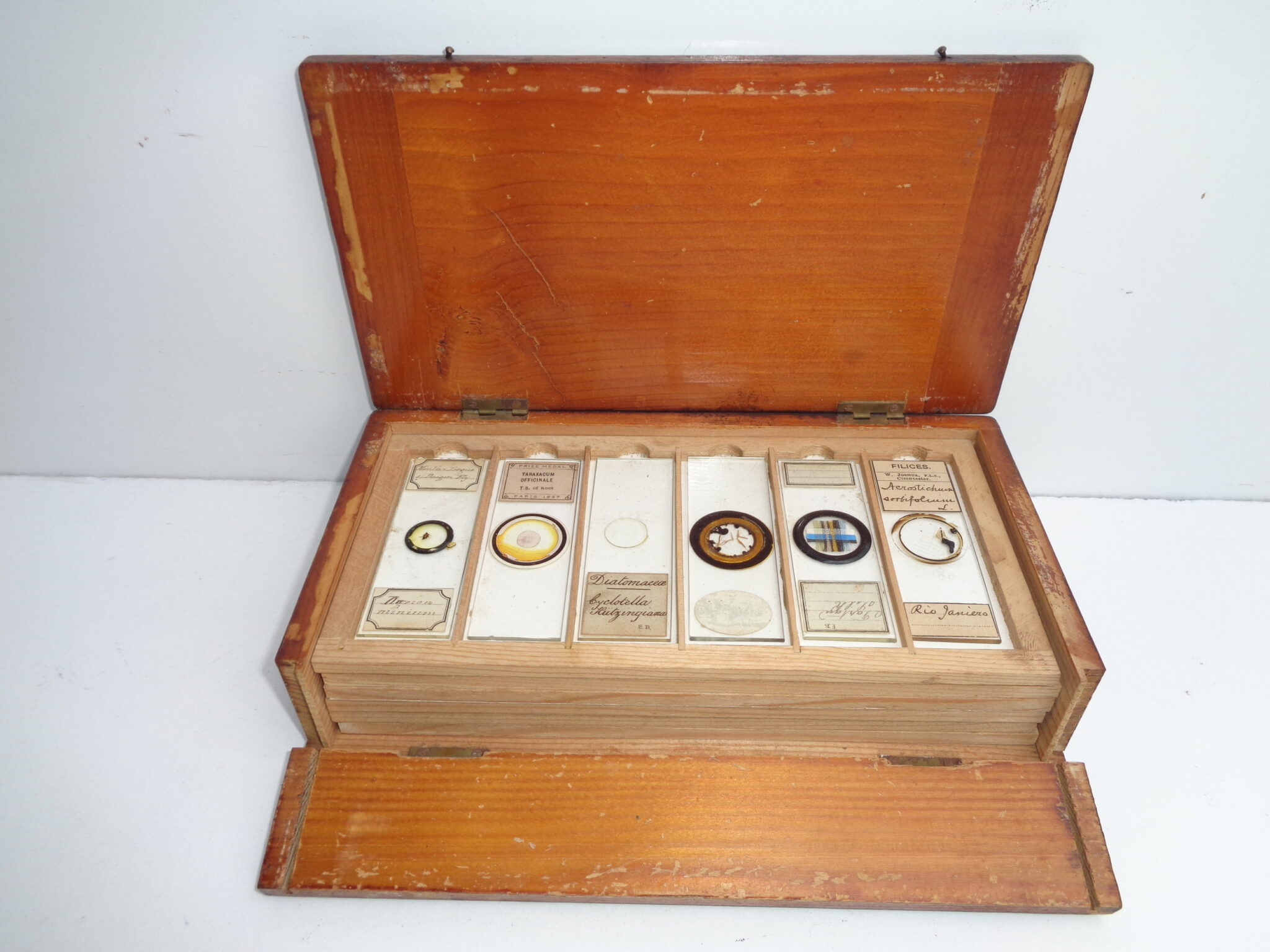 Wooden box  microscope slides ca 1890