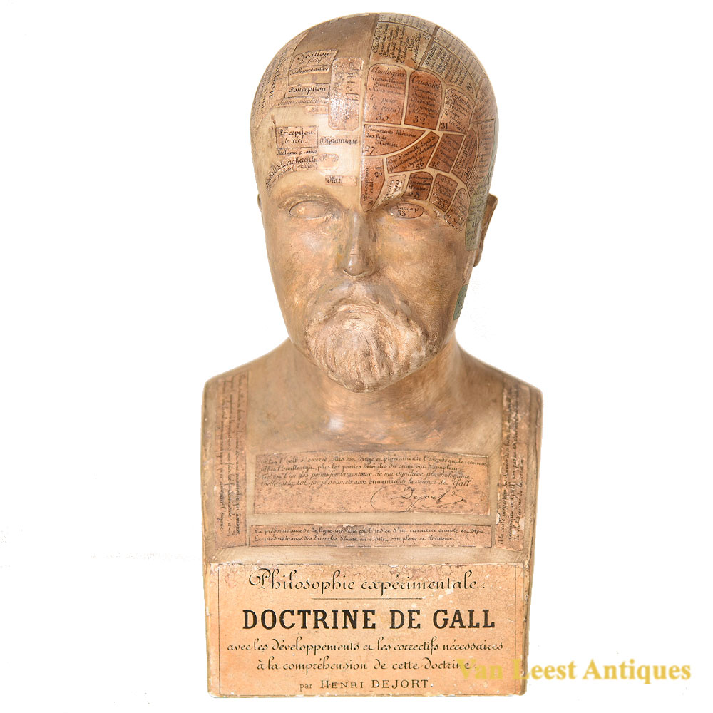 Phrenology bust by Henri Dejort, France C. 1870.